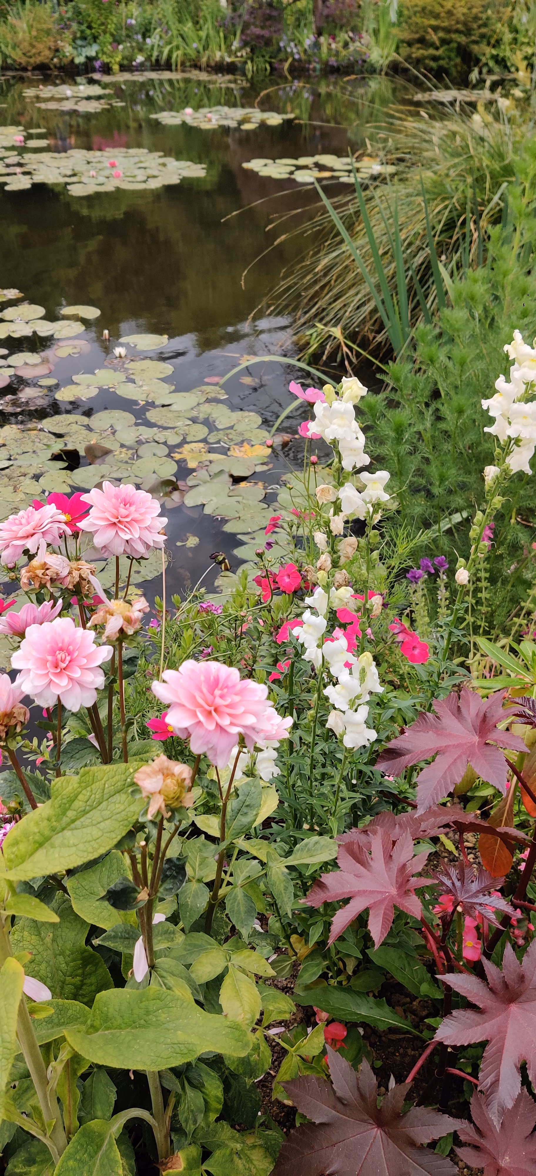 Nature — 7 juillet 2024