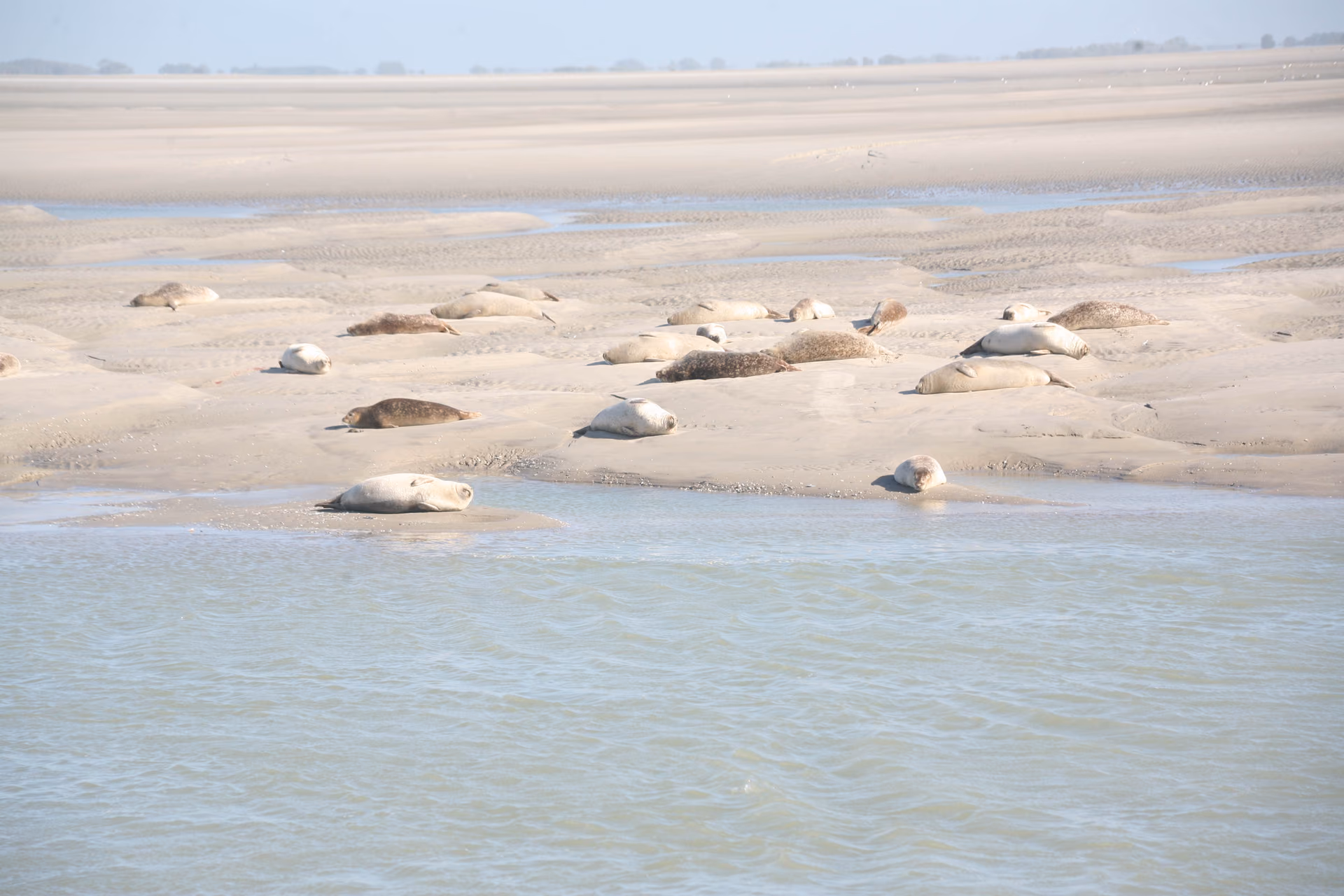 Quiétude à Berck-sur-Mer