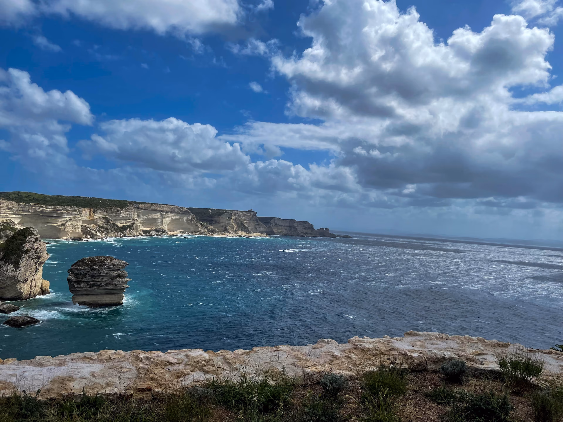 Grain sur les falaises