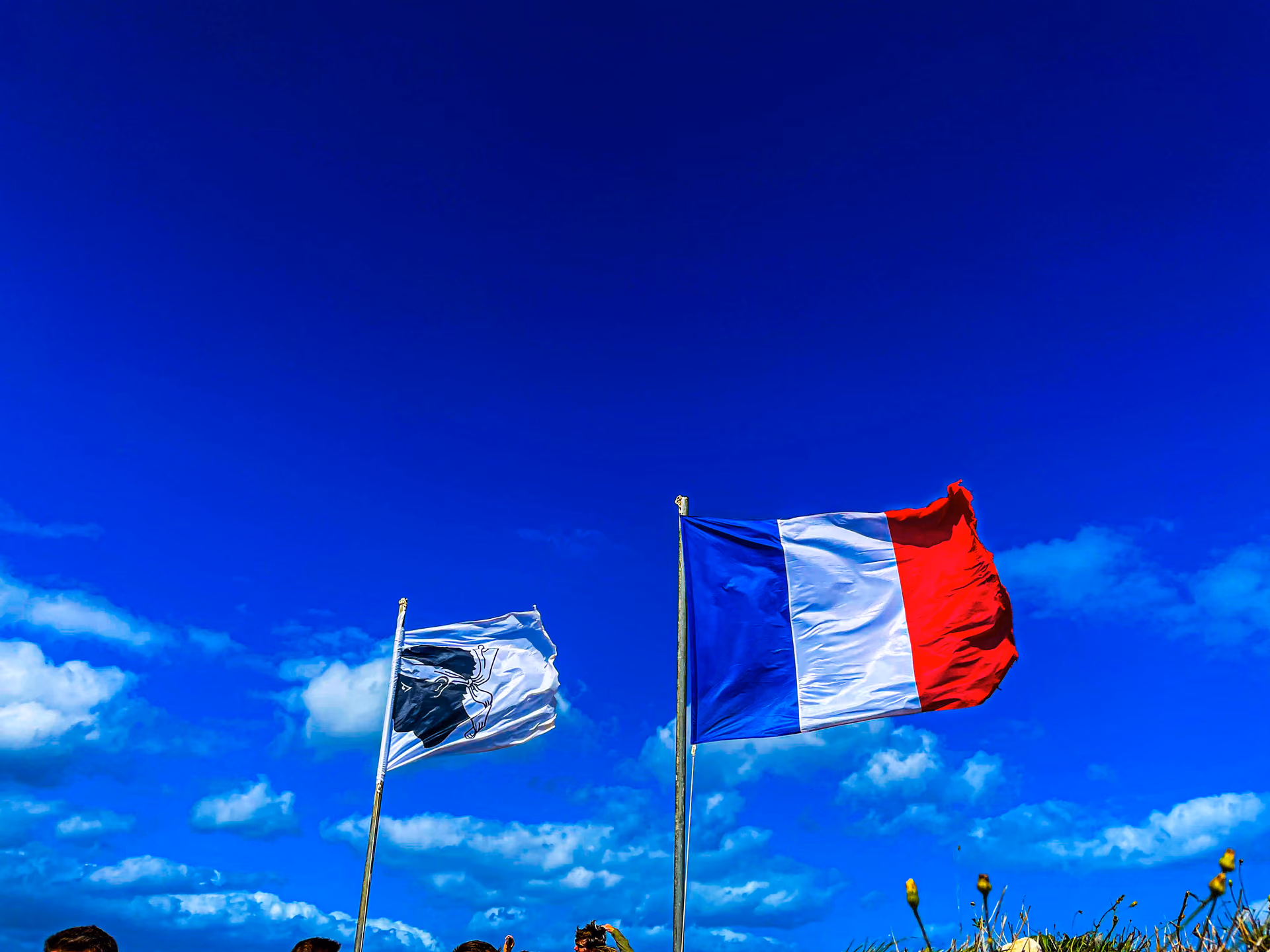 Drapeaux corse et français
