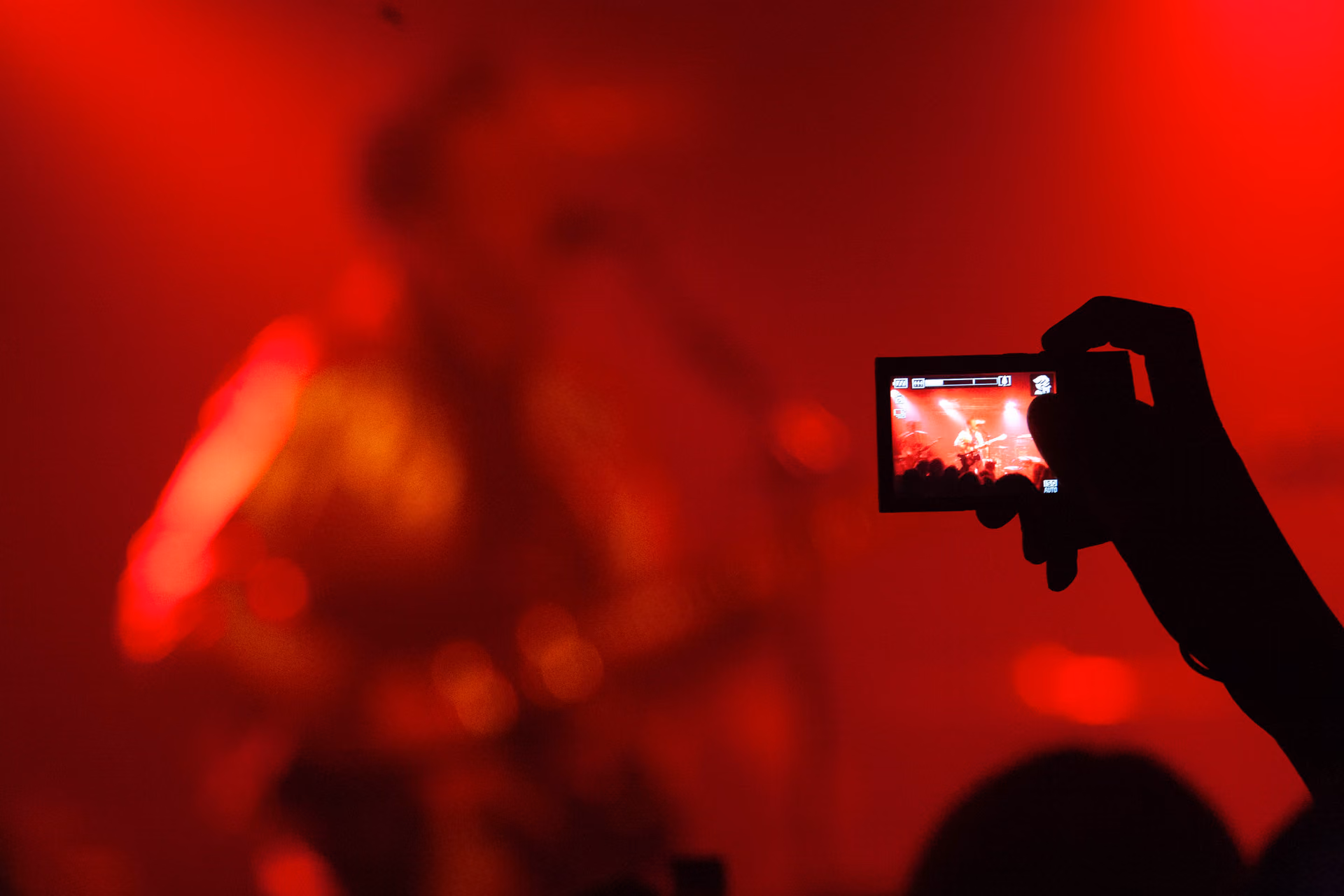 Le concert au creux de l’écran