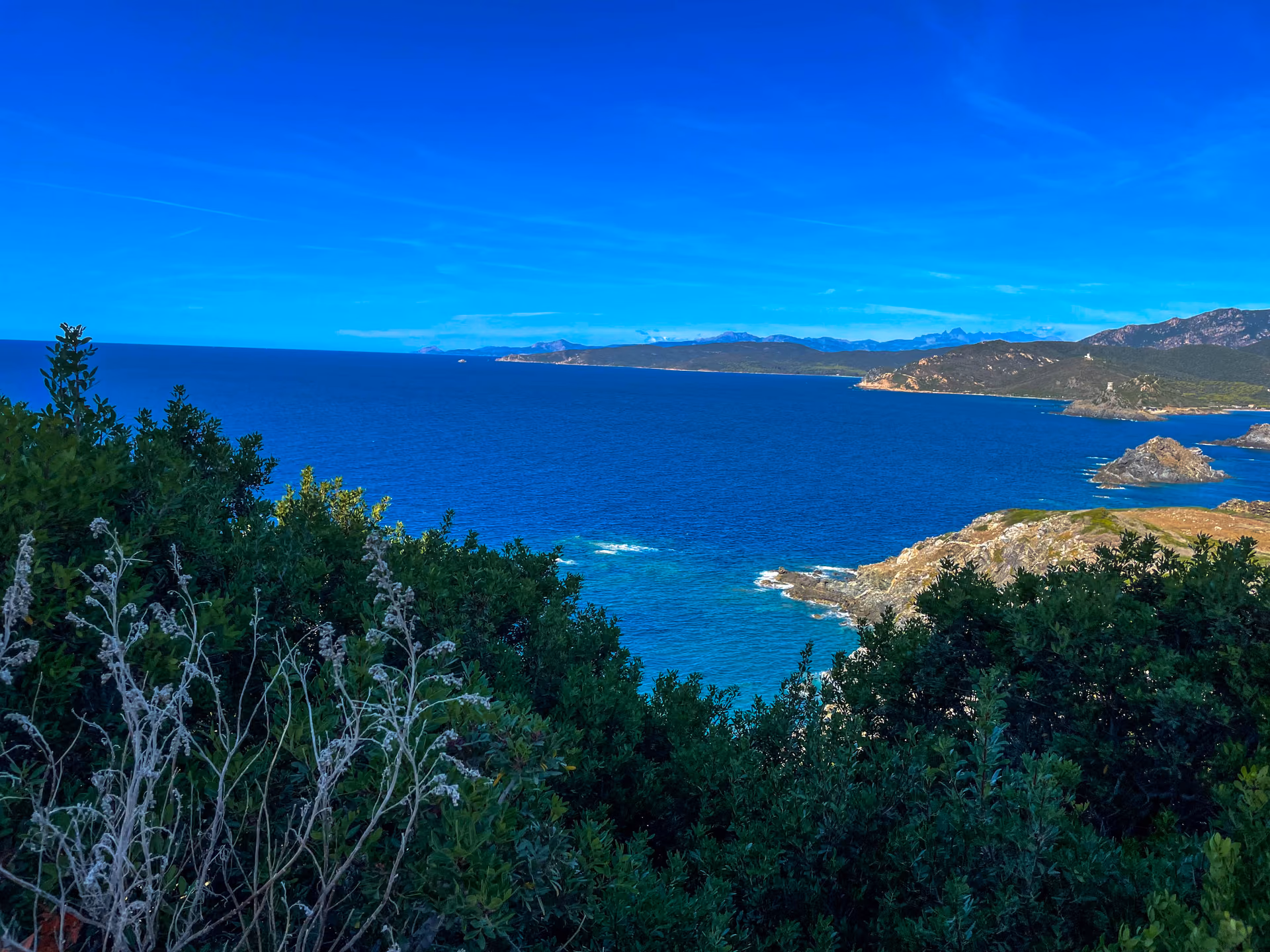Côte rocheuse des Sanguinaires